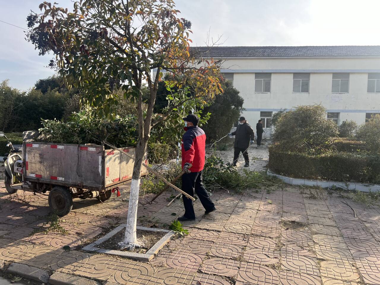 綠化修剪
